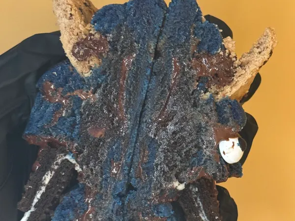 Cookie Monster stuffed with Brownies